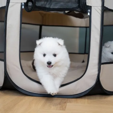 Ollipet For Wagging Tails | foldbar Hvalpegård